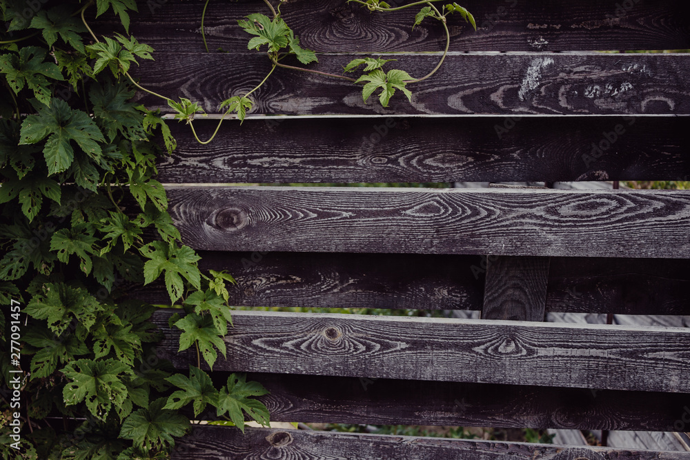 old weathered wood