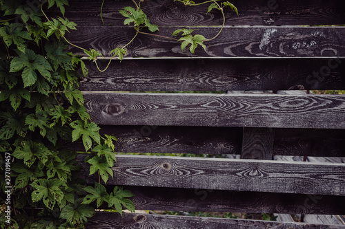 old weathered wood