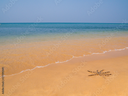 Starfish on Tropical Beach