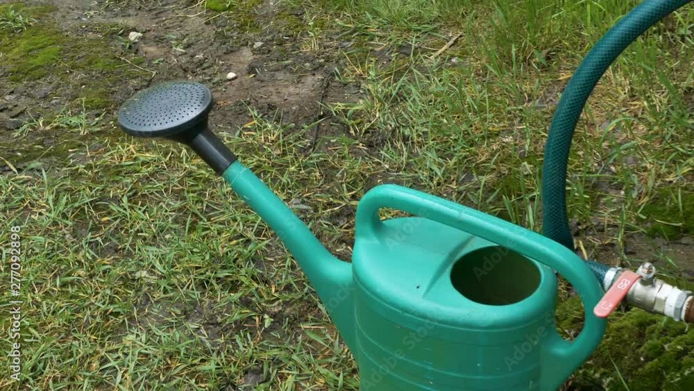 23233_The_holes_on_the_water_can_on_the_garden.mov 23233_The_holes_on_the_water_can_on_the_garden.mov