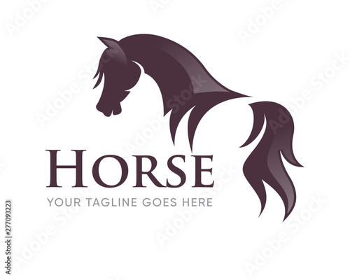 Creative Horse Head Logo Icon Symbol Vector Design Illustration