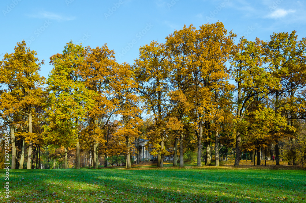 Green grassy clearing in the forest Park, on the fore walls of colored autumn trees and stone facade of the old mansion.