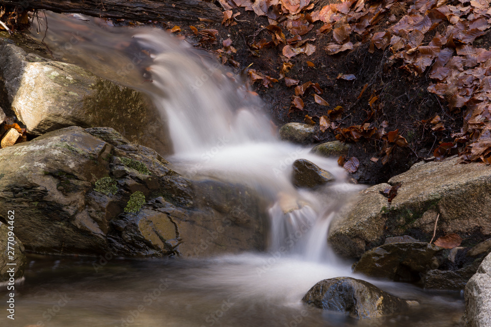 Fototapeta premium Mountain river in Montseny