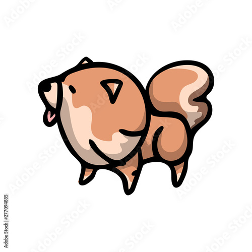 Cute red japan spitz dog looking at bird