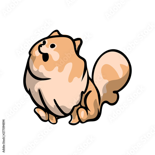 Funny spitz dog stay at room floor, waiting