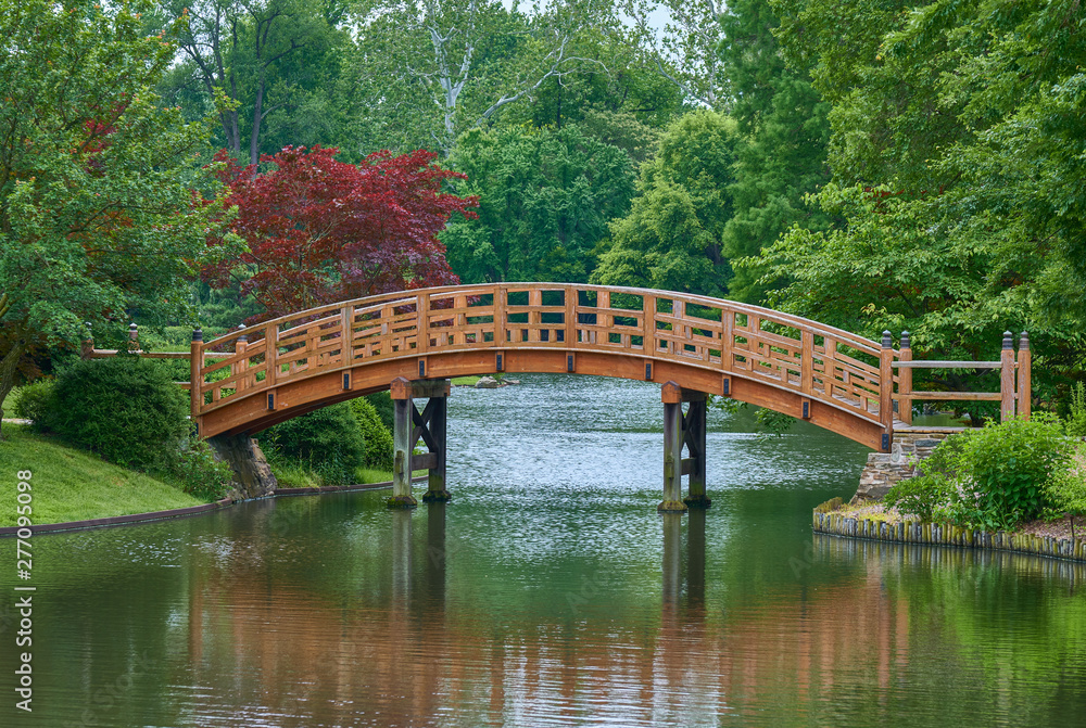 bridge and walkway path bridge and walkway path