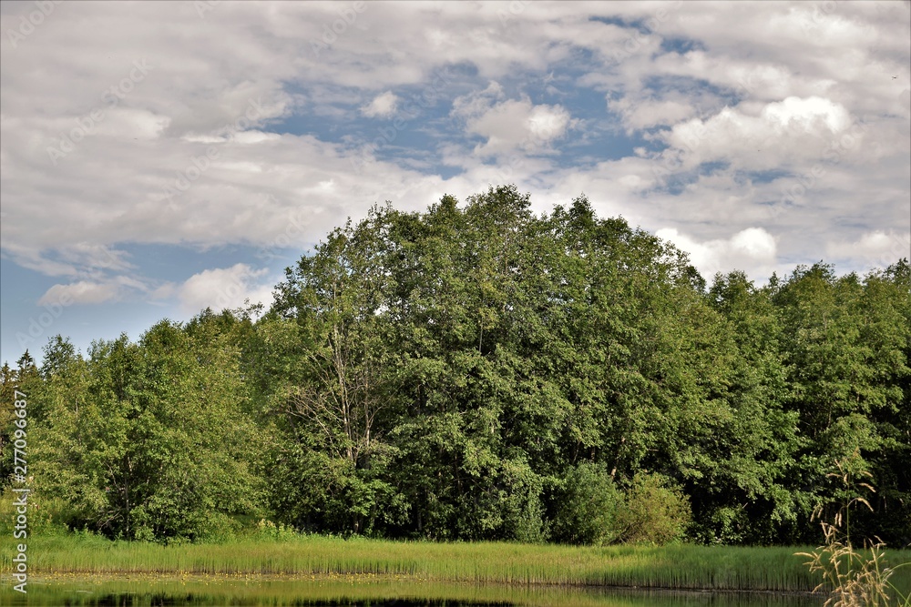 Fototapeta premium Russian river