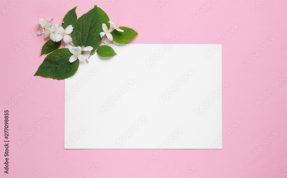Twig with green leaves and bloom on pink background. Copy space
