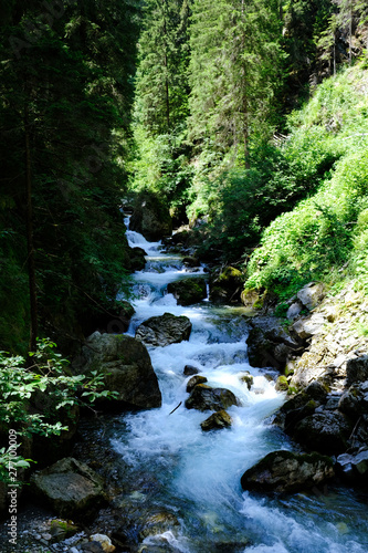 Bach im Wald