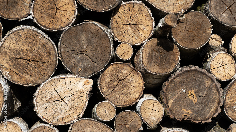 logs. firewood. woodpile close up. wood for fireplace. stack of wood for winter. firewood surface background. logs. firewood. woodpile close up. wood for fireplace. stack of wood for winter. firewood surface background.
