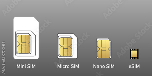 set sim card evolution to esim vector