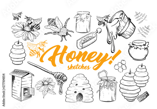 Honey Sketches Set, Bee Hive, Honey Jar, Barrel, Pot, Spoon and Flower Hand Drawn Organic Products for Logo. Black Outline Engraving Elements. Vintage Isolated Vector Illustration