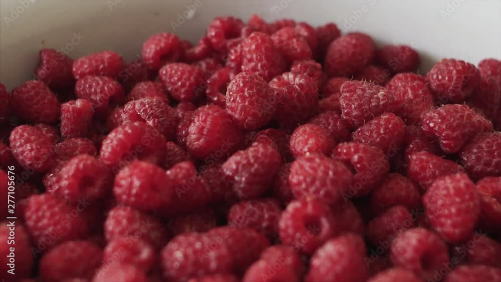 Pan shot of a Fresh organic raspberry berries. Close up shot. Pan shot of a Fresh organic raspberry berries. Close up shot.