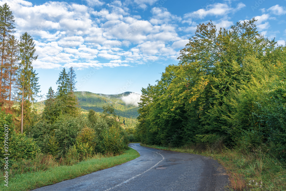 Fototapeta premium old country road through forest in to mountains. beautiful transportation background in early morning. low cloud on the ridge and hi clouds on the blue sky. wonderful sunny morning