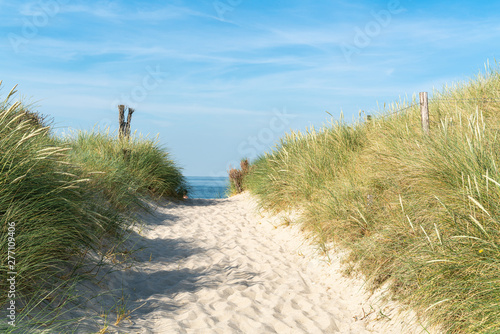 Dune with beach grass.