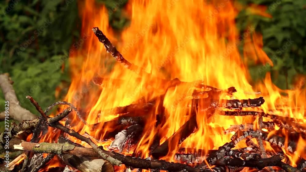 Orange fire and big bonfire flame on a green background Orange fire and big bonfire flame on a green background