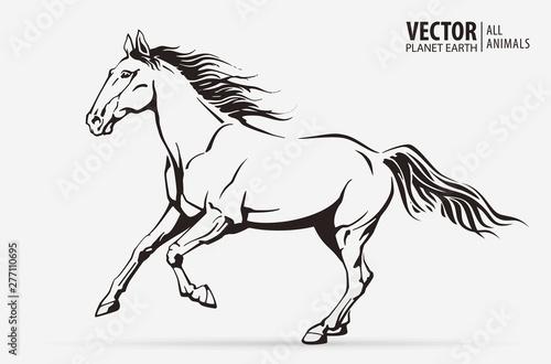 Silhouette of a running horse. Galloping animal. Logo. Champion. Sport. Isolated on a background. Vector illustration © mari