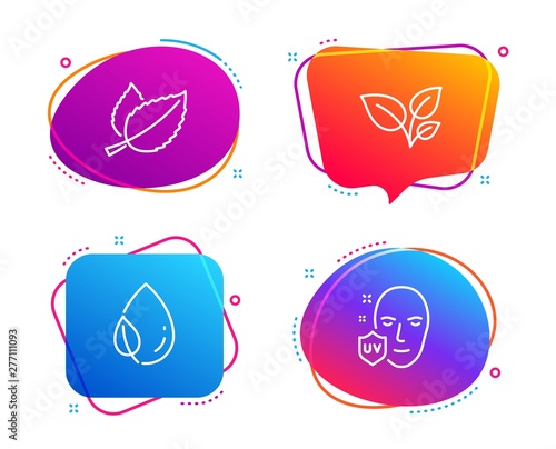 Leaves, Leaf dew and Mint leaves icons simple set. Uv protection sign. Grow plant, Water drop, Mentha herbal. Ultraviolet. Healthcare set. Speech bubble leaves icon. Colorful banners design set