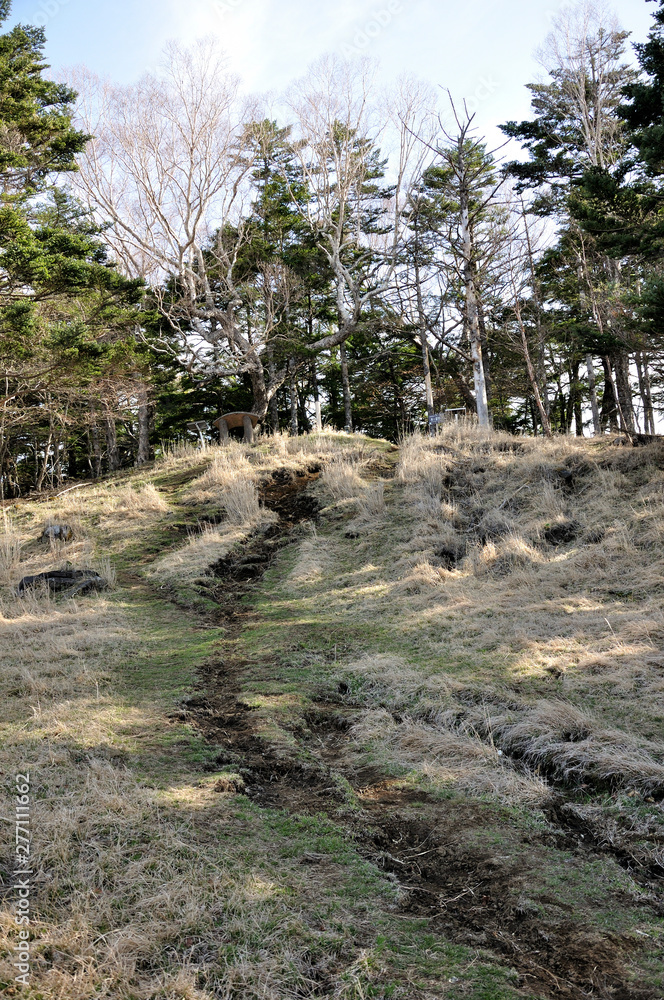 Fototapeta premium 早春の雁ヶ腹摺山の山頂