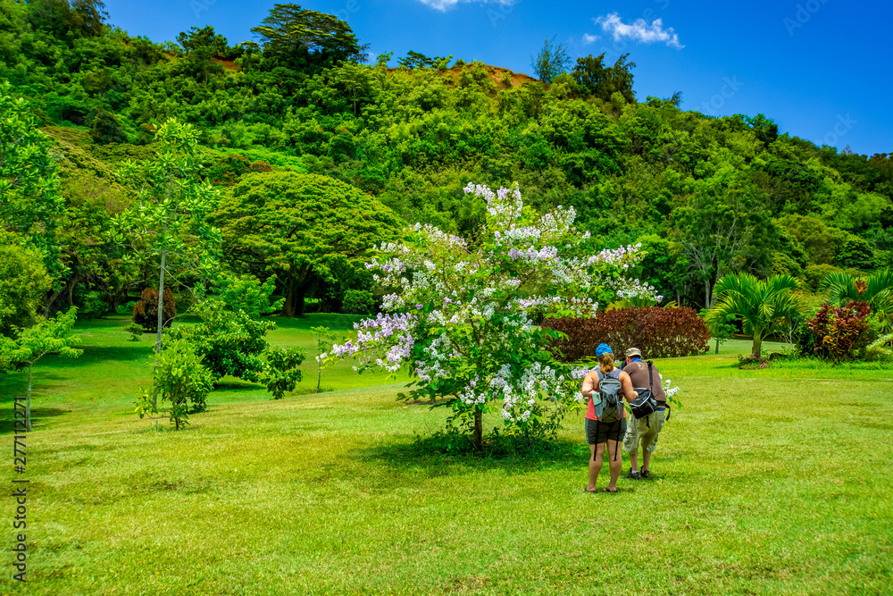 man and woman in garden man and woman in garden