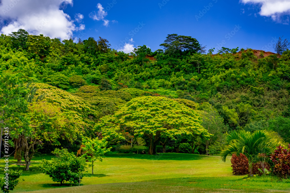 Kauai botanical garden