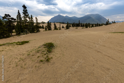 Die kleinste Wüste bei Carcross in Kanada photo