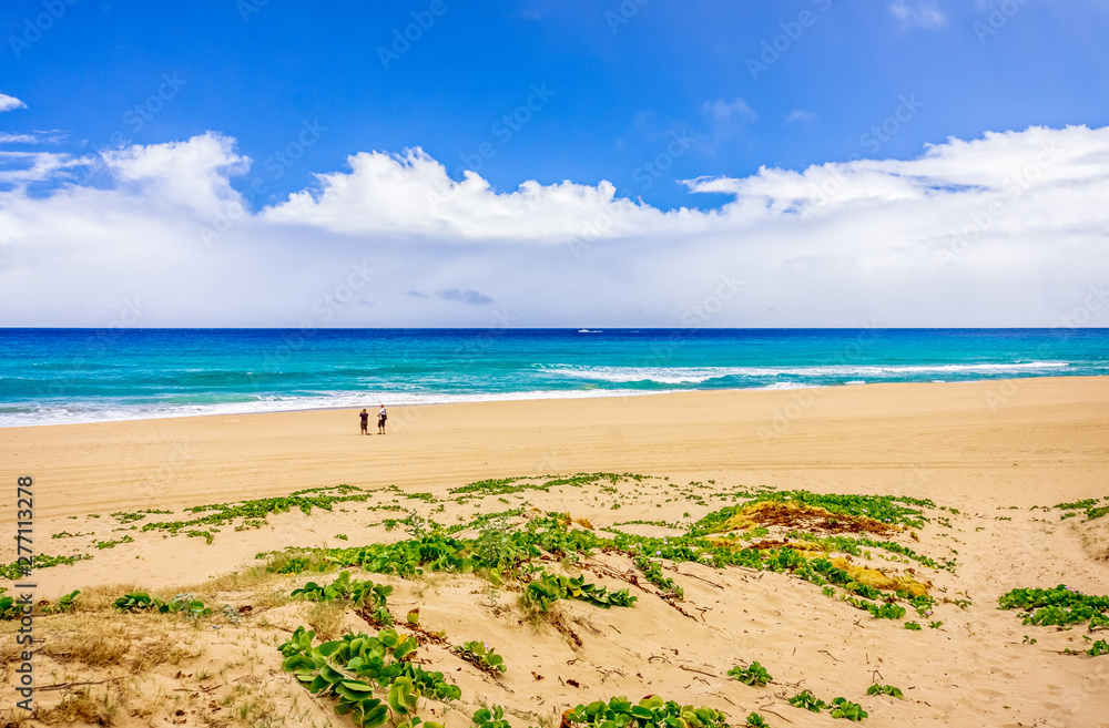 Obraz premium People on deserted tropical beach