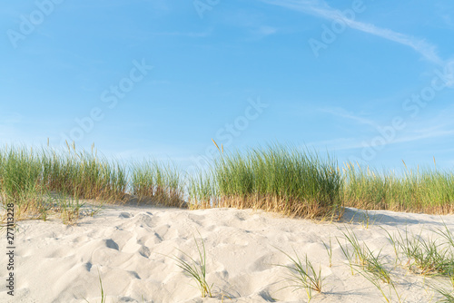 Dune with beach grass.