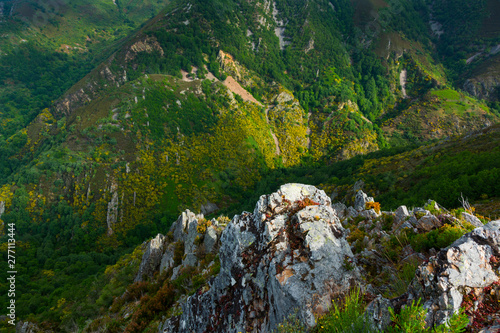 Fuentes del Narcea, Degaña e Ibias Natural Park, Asturias, Spain, Europe photo