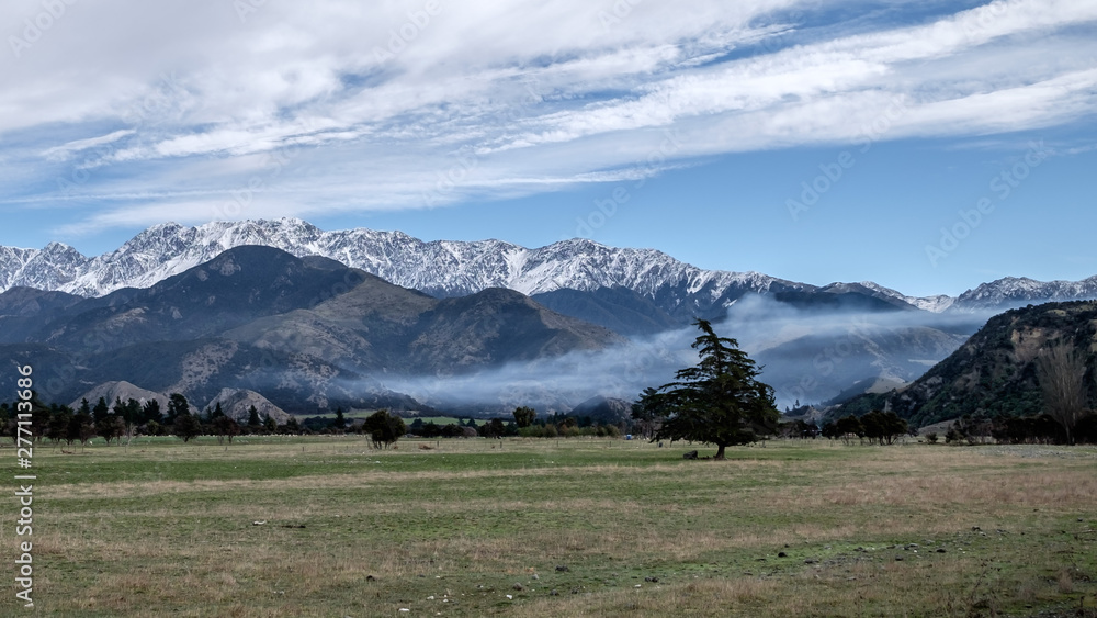 Peaceful landscape image of snow mountain and grass field in New Zealand.
