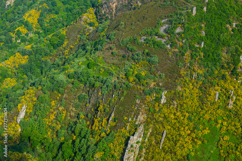 Fuentes del Narcea, Degaña e Ibias Natural Park, Asturias, Spain, Europe photo