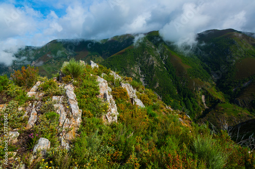 Fuentes del Narcea, Degaña e Ibias Natural Park, Asturias, Spain, Europe photo