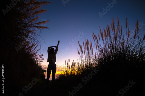 Silhouette of girl posing and stretching around tall Toetoe (toitoi) tall grass native to New Zealand. Simple and clean vibrant natural background image with copy space. Motivation inspiration use photo