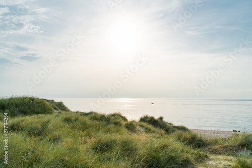 Wallpaper Mural Dune with beach grass. Torontodigital.ca