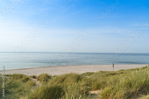 Fototapeta Naklejka Na Ścianę i Meble -  Dune with beach grass.