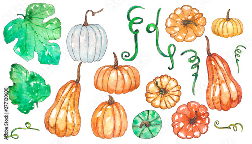 Hand painted watercolor set of pumpkin and leaves