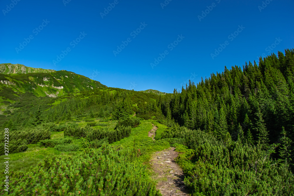 Summer trail in the mountains