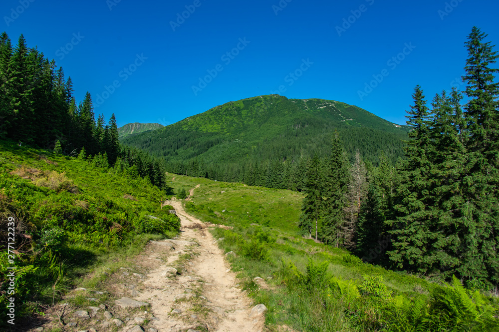 Summer trail in the mountains