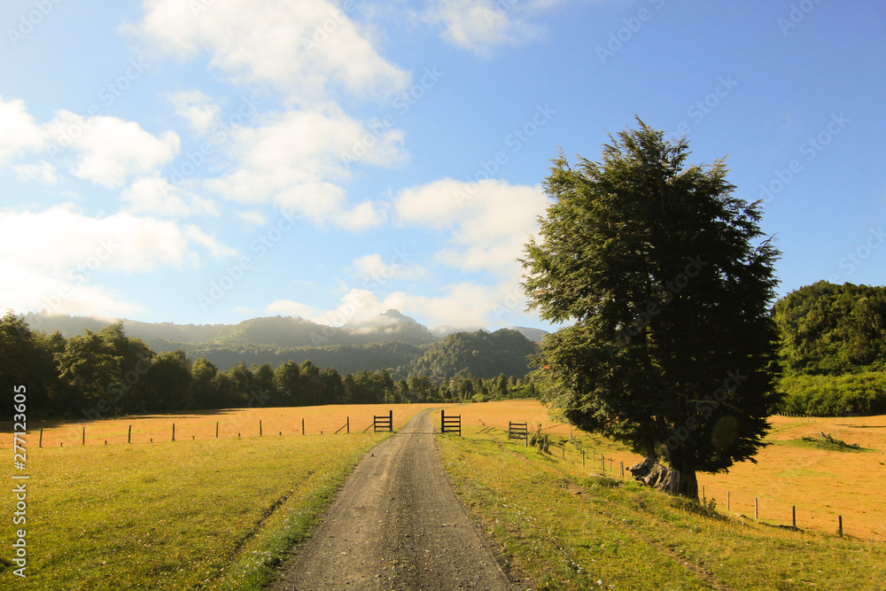 Fototapeta premium Futangue