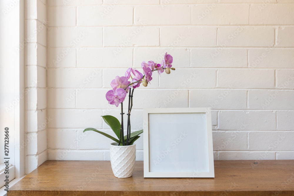 Closeup of purple phalaenopsis orchid in pot with blank square picture frame against white painted brick wall Closeup of purple phalaenopsis orchid in pot with blank square picture frame against white painted brick wall