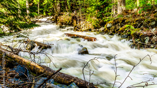 Water from the spring snow melt tumbling over Logs and Boulders on Mcgillivray Creek between Whitecroft and Sun Peaks in the Shuswap Highlands of the Okanagen region in British Columbia, Canada photo