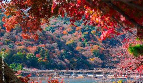 京都 嵐山の紅葉 