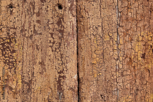 Old wood texture with cracks and knots