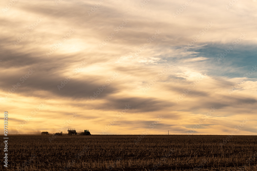 Fototapeta premium harvesting at dusk