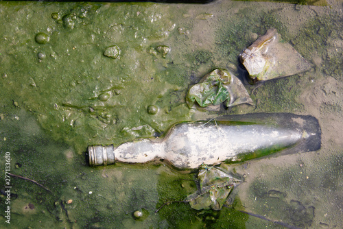 Old glass bottles in the water. World waste management problems photo