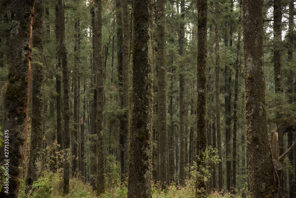 La Marquesa National Park, with the official name La Marquesa National Park, with the official name