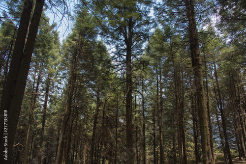 La Marquesa National Park, with the official name "Parque Nacional Insurgente Miguel Hidalgo y Costilla" is a National park in the State of Mexico, in central Mexico.