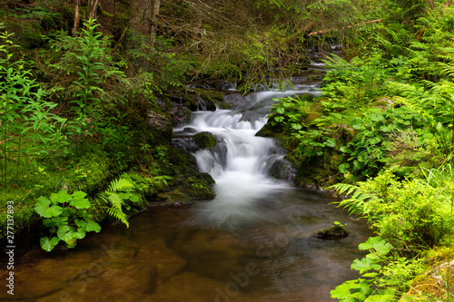 Water cascading over a rocky shelf in a river