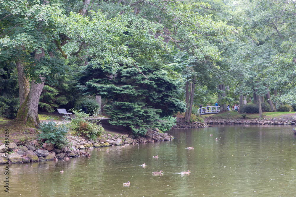 Palanga Botanical Park pond in summer midday Palanga Botanical Park pond in summer midday
