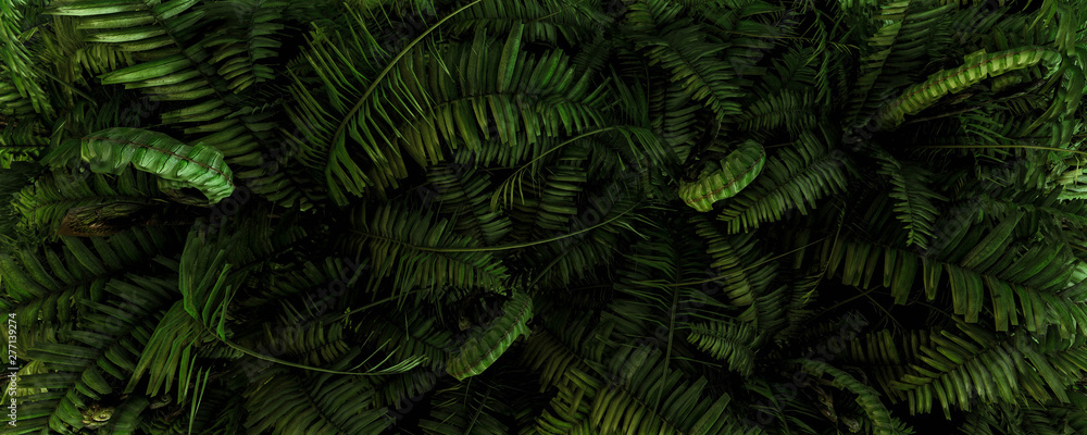 3d background illustration of green fern leaves